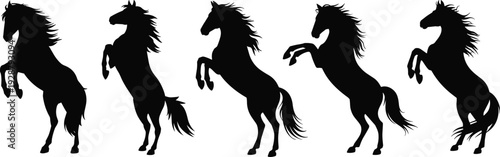 Collection of rearing horse silhouettes in dynamic poses isolated on white background, black equine vector set for logo design, branding, tattoo, and illustration