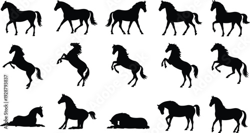 Set of black horse silhouettes in various poses isolated on white background, collection of equine vector shapes for design, logo, branding, and illustration use