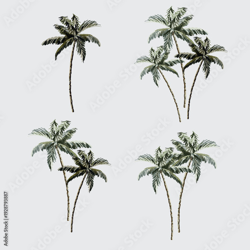 Hand drawn of palm tree vector illustrations
