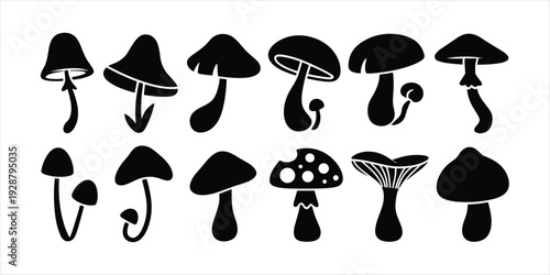 Collection of Black Silhouette Mushroom Illustrations fungi nature