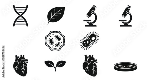 Biology and Nature Research Silhouette Icons with Microorganisms and Anatomy