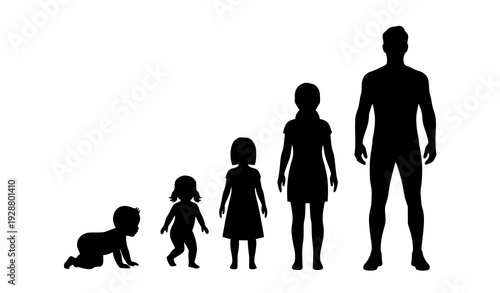 🏷 SEO Title 2
Life Progression Concept Silhouette of Human Development Diagonal Growth Vector on White