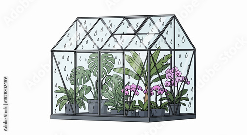 Greenhouse Indoor Plants in Glass Conservatory.
