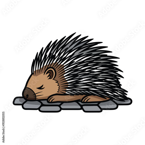 A sleeping porcupine resting on a stone surface illustrated in a vector graphic