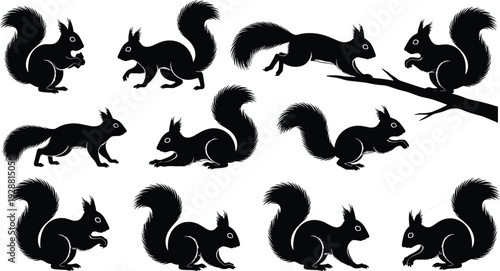 Squirrel Silhouette Vector Collection – Ten Black and White Stylized Designs Featuring Bushy Tails, Acorns, Climbing, Running, and Jumping Poses