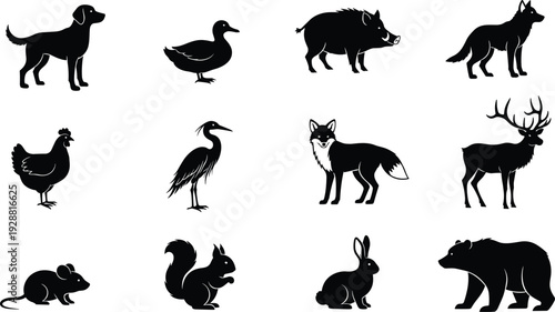 Animal silhouettes illustration set, twelve diverse species, domestic and wild, black and white vector art, educational wildlife, decorative design elements