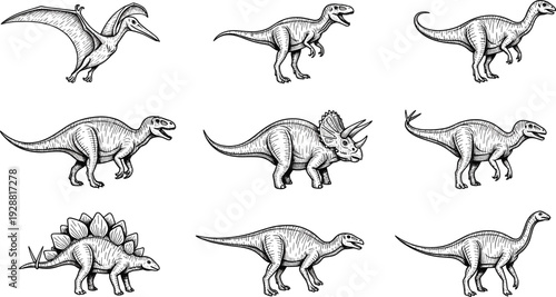 Dinosaur vector illustration, nine prehistoric species artwork, detailed line drawing collection, educational paleontology clipart, wildlife inspired graphic