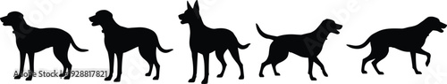 Dog silhouettes in diverse standing poses, domestic pet vector illustration, animal design element, canine artwork, cultural symbol, decorative motif