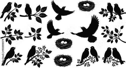 Bird silhouettes with nests, eggs, branches, and flowers, wildlife nature illustration, decorative vector artwork, animal behavior design collection