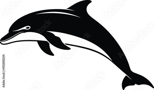 Dolphin vector illustration, leaping silhouette artwork, marine wildlife design, decorative ocean inspired clipart, aquatic emblem graphic