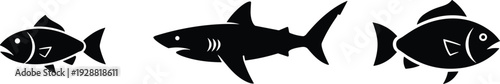 Aquatic animal vector illustration, black silhouettes of fish and shark in sequence showing predator-prey marine wildlife design art