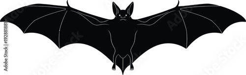 Bat silhouette with wings fully extended in flight, stylized vector illustration design for wildlife biology artwork and Halloween projects