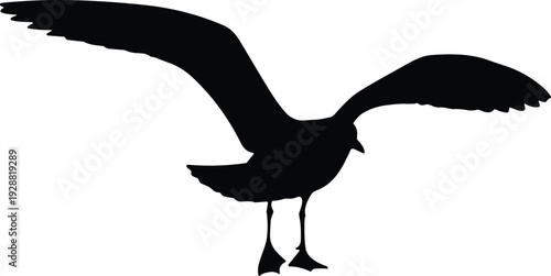 Bird silhouette in flight with extended wings, dynamic coastal wildlife vector illustration, abstract ornithology and marine nature design concept