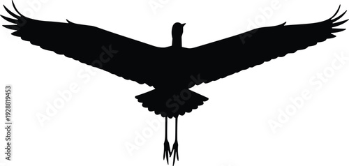 Bird silhouette vector illustration, wings extended in flight, graceful wildlife artwork, black animal design, nature inspired graphic