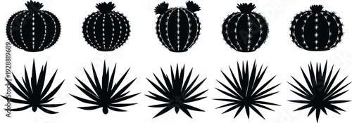Cactus and agave silhouettes, desert flora vector illustration, arid landscape plant design, botanical clipart art, nature graphics, dry climate ecology