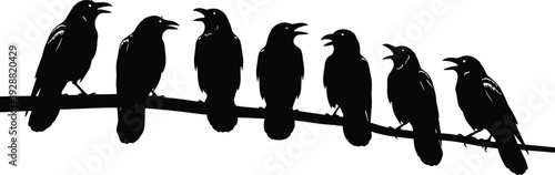 Crow silhouettes perched on branch vector illustration, ravens in row, vocalizing birds, wildlife posture, social behavior, animal communication artwork
