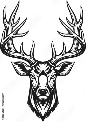 Deer head vector illustration, intricate antlers artwork, symmetrical wildlife silhouette, decorative nature inspired design, rustic emblem graphic clipart