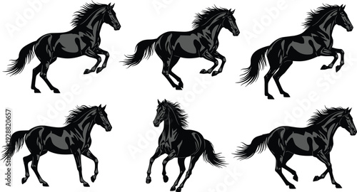 Horse silhouettes vector illustration in dynamic running poses, equine motion artwork, wildlife inspired design, anatomy study composition