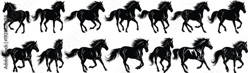 Horse silhouettes vector illustration showing running motion sequence, dynamic animal artwork, equine posture study, wildlife design, artistic composition
