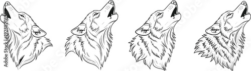 Howling wolf heads illustration, progressive detail vector art, animal design sequence, wildlife motif, nature artwork, decorative graphics, artistic inspiration, textured fur patterns
