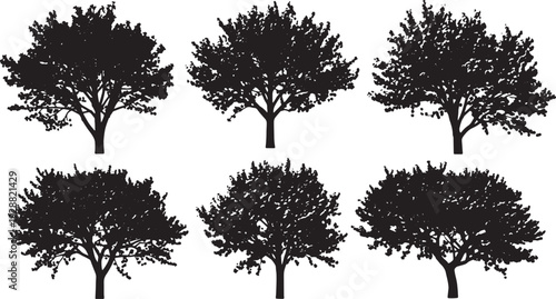 Black Solid Flowering Cherry Blossom Tree Silhouettes Set of Six on White Background