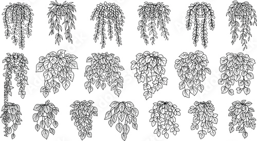 Minimalist hanging plants silhouette collection, botanical vector illustrations, indoor houseplants, decorative foliage, modern nature decor, eco-friendly design elements