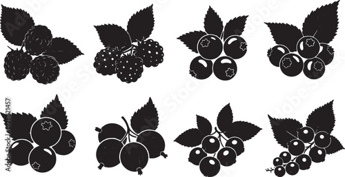 Forest Berry Cluster Elements for Plant Detail