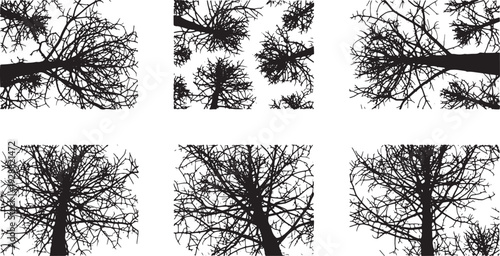 Black Solid Dead Forest Canopy View Silhouettes Set of Six on White Background