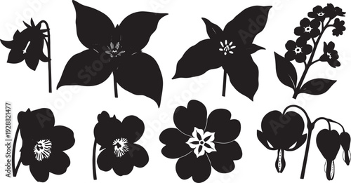 Forest Flower Elements for Undergrowth Color