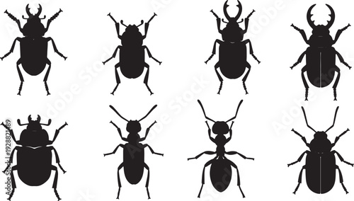 Forest Insect Elements for Ground Life