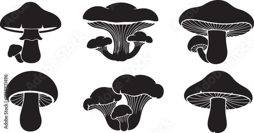 Forest Mushroom and Fungi Elements for Ground Detail