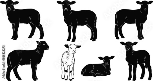 Black lamb silhouette vector collection with young sheep figures and farm animals isolated for cad drawing flat vector illustration design
