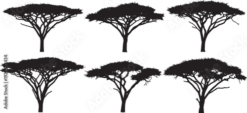 Black Solid African Acacia Tree Silhouettes Set of Six on White Background