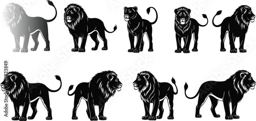 Black lion silhouette vector collection with male and female lions isolated on white background for cad drawing flat illustration design