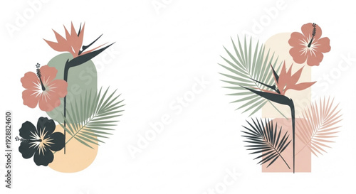 Tropical floral illustrations with palm leaves and hibiscus flowers in pastel colors on white background