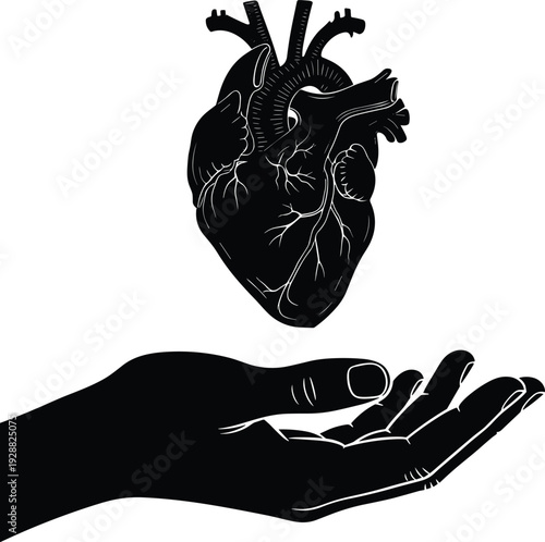 Black silhouette vector illustration of a detailed human heart floating above an open palm representing life health organ donation care and medicine.