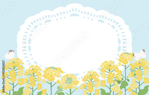 Textile Style Nanohana (Canola Flower) Vector Template (No Text) | Spring Floral Background Illustration