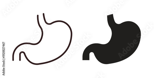 Stomach icon Thin Collection. Editable Stroke. Suitable for Websites