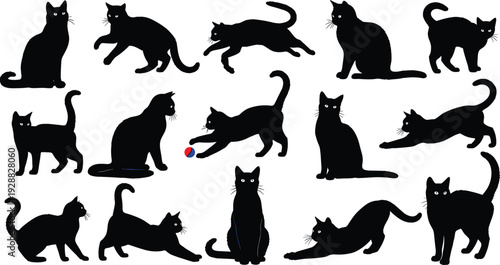 Cat silhouettes in playful and relaxed poses, vector illustration design showing feline behaviors for animal artwork and decorative projects