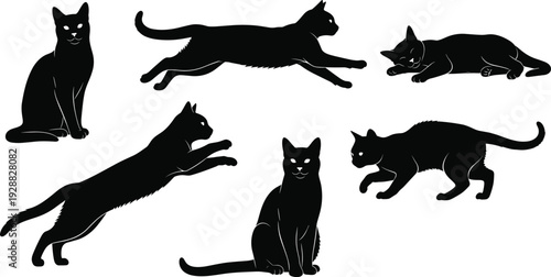 Cat silhouettes in sitting leaping and crouching poses, dynamic vector illustration design for feline behavior artwork and decorative projects