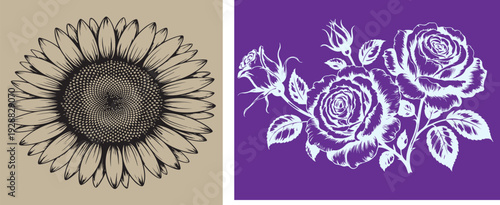 Sunflower and purple roses. digital graphics for print