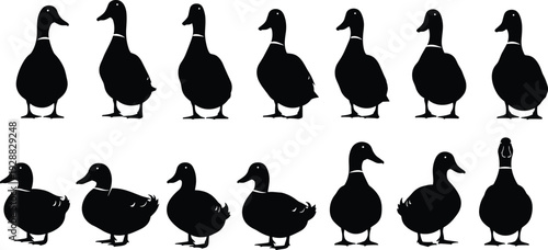 Duck Silhouette Collection, Mallard Waterfowl Vector Set, Farm Bird Icons, Standing Poultry Shapes, Domestic Duckling Graphics, Lake Wildlife Nature Illustrations, Swimmers