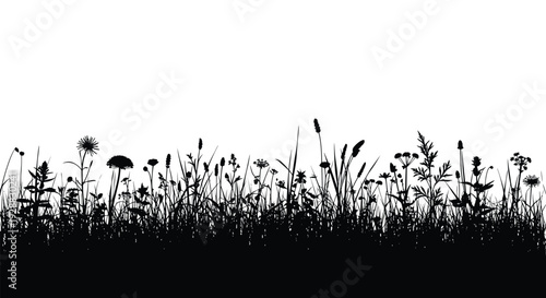 Black silhouette of a wild meadow featuring various flowers, grass, and weeds forming a horizontal border on a white background.
