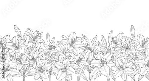 Delicate black and white line art border depicting a dense cluster of lily flowers and buds with long leaves and stems.