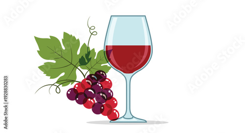 Elegant glass of red wine placed next to a bunch of dark purple and red grapes with a large green vine leaf on a white background.