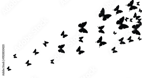 Dynamic composition of numerous black butterfly silhouettes in different sizes flying diagonally across a white background.