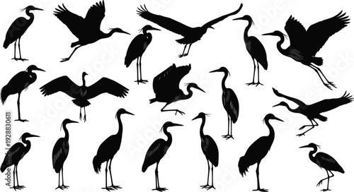 Heron Silhouette Collection, Flying Crane Vector Set, Black Egret Bird Icons, Standing Stork Shapes, Wildlife Nature Graphic Elements, Marshland Waterfowl Illustrations