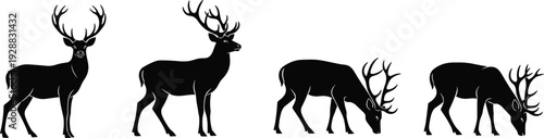Male deer silhouettes vector illustration, four grazing and standing poses, antlered wildlife artwork, black animal design, nature inspired graphic