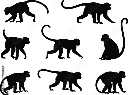 Monkey silhouettes in various poses, walking, sitting, crouching vector illustration, arboreal animal artwork, wildlife design, tropical forest nature symbol concept