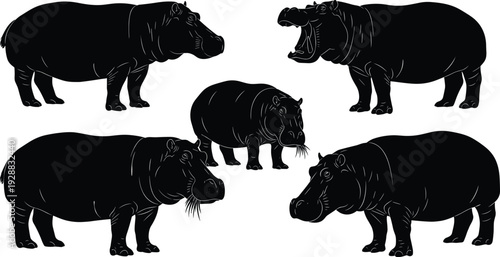 Hippopotamus silhouettes in circular arrangement, yawning, grazing, standing, side profiles, detailed vector animal illustration for wildlife and design projects